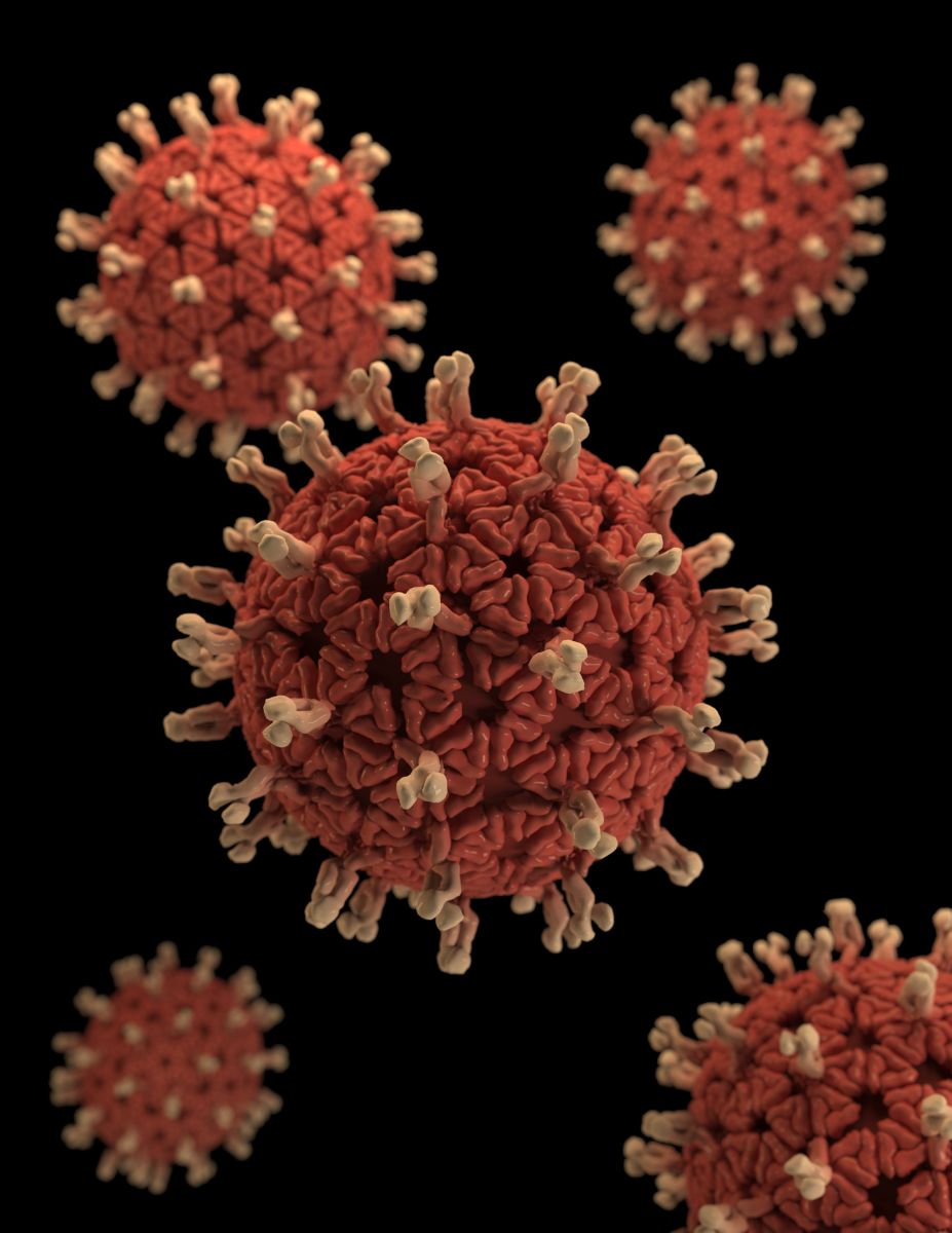 Ilustrasi virus (sumber : Unsplash)