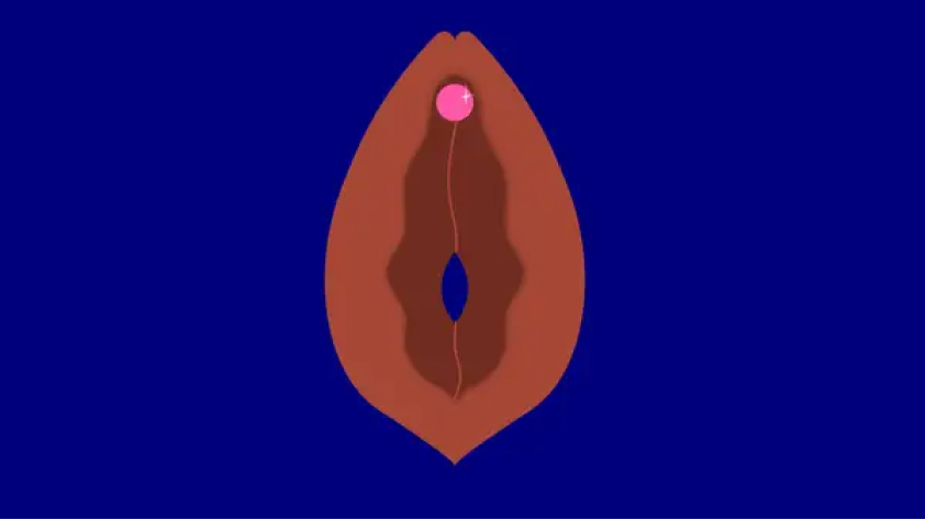 Klitoris besar atau kecil (source: Insider)
